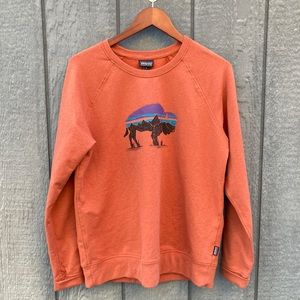 Patagonia Fitz Roy Bison Ahnya Crew Sweatshirt